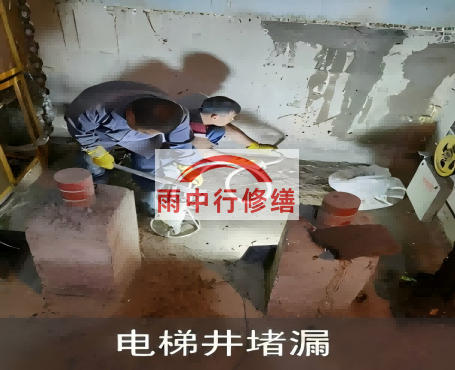 云浮星雨华府电梯井堵漏案例